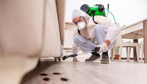 Real Estate Pest Inspections in Carnegie, PA